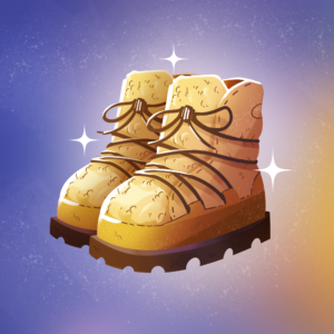 Certificate for footwear